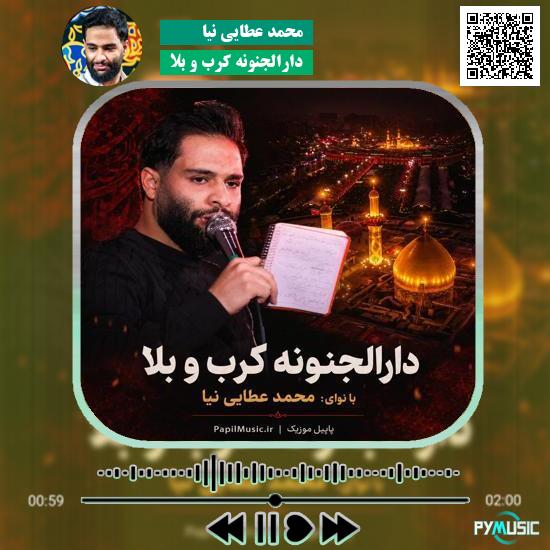 دانلود نماهنگ دارالجنونه کرب و بلا محمد عطایی نیا